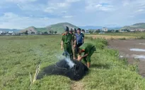 Ngăn chặn tình trạng giăng lưới săn bắt chim trời trái phép