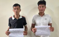 Nhanh chóng làm rõ vụ bỏ trốn sau tai nạn giao thông ở Hà Tĩnh