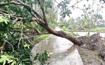 Dông lốc dữ dội ở Cà Mau, gần 50 căn nhà hư hại chỉ trong ít phút