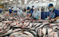 ASEAN - Thị trường tiềm năng cho xuất khẩu cá tra