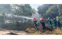 Quảng Trị: Cháy rừng tại giáp ranh hai xã Quảng Ninh và Ninh Châu
