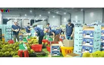 Việt Nam tăng minh bạch chuỗi cung ứng nông sản xuất khẩu sang Trung Quốc