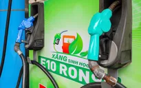 Doanh nghiệp xăng dầu sẵn sàng "phủ sóng" toàn quốc xăng E10 từ 1/6