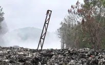 Rừng thông ở Lâm Đồng bị bức tử do bãi rác cháy âm ỉ ngày đêm