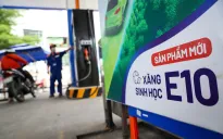 Bộ Công Thương: Hầu hết các loại xe đều phù hợp để sử dụng xăng E10