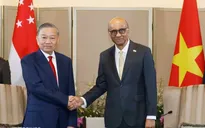Đưa quan hệ Đối tác Chiến lược Toàn diện Việt Nam -Singapore sang giai đoạn phát triển mới về chất