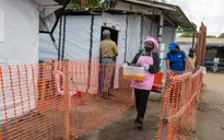 Brazil cách ly 2 trường hợp nghi nhiễm Ebola 