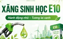 Xăng E10 phủ sóng toàn quốc: Thúc đẩy tự chủ năng lượng, hướng tới phát triển bền vững