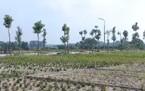 Hà Nội: Đẩy nhanh tiến độ hai dự án khu đô thị đa mục tiêu