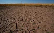 Liên hợp quốc kêu gọi sẵn sàng đối phó nắng nóng cực đoan do El Nino