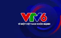 Kênh Thể thao của VTV chính thức được cấp phép hoạt động