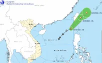 Ninh Bình chủ động ứng phó áp thấp nhiệt đới trên Biển Đông