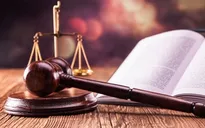 Thành lập Hội đồng quốc gia về tư pháp người chưa thành niên