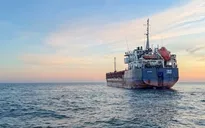 Thụy Điển tịch thu tàu nghi xuất khẩu trái phép ngũ cốc của Ukraine 