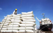 Xuất khẩu gạo thu về hơn 2 tỷ USD sau 5 tháng