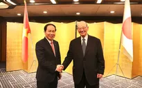 Phó Thủ tướng Lê Tiến Châu tiếp Hội đồng Thúc đẩy ngoại giao nhân dân Nhật Bản