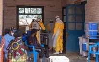 Số ca nhiễm Ebola ở Congo vượt ngưỡng 550