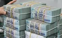 Dư nợ tín dụng xanh đạt quy mô 828.000 tỷ đồng