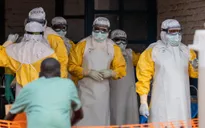 Thêm 2 trẻ em tử vong do dịch Ebola tại Congo
