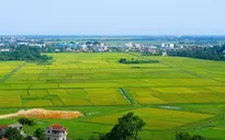 Kế hoạch triển khai cơ chế, chính sách đặc thù để xử lý vi phạm pháp luật về đất đai trước năm 2024