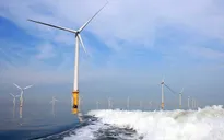 Điện gió Việt Nam tiềm năng top 5 châu Á