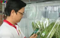 18.000 sản phẩm tham gia hệ thống truy xuất nguồn gốc