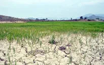 El Nino tiếp tục xảy ra mạnh thêm và có thể kéo dài sang đầu năm 2027