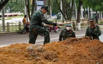 Quảng Ngãi khai quật, tìm kiếm hài cốt liệt sĩ trên đường Trường Chinh