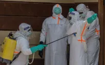 Congo ghi nhận trên 780 ca nhiễm Ebola