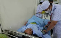 Lâm Đồng: Người đàn ông tử vong sau khi ăn nấm hái trong rừng