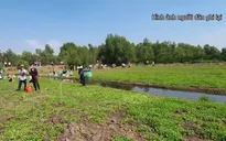 Khởi tố vụ lừa đảo hơn 1.038 tỷ đồng dưới chiêu bài đầu tư trồng rau má