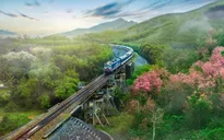 Khẩn trương giải phóng mặt bằng Dự án đường sắt Lào Cai - Hà Nội - Hải Phòng