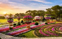 Festival Hoa Đà Lạt 2026 hứa hẹn thu hút du khách với chuỗi sự kiện đặc sắc