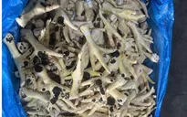 Phù phép chân gà hết hạn thành “hàng mới”, đường dây buôn lậu hoạt động suốt nhiều năm
