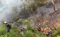 Cháy rừng Thiên Nhẫn, huy động tổng lực dập lửa