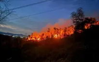 Bí thư Tỉnh ủy Nghệ An yêu cầu tập trung tối đa lực lượng dập tắt cháy rừng, không để cháy lan rộng
