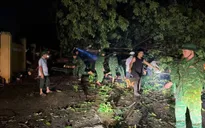 Lâm Đồng khẩn trương hỗ trợ người dân sau dông lốc