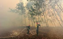 Hàng trăm người căng mình khống chế cháy rừng tại Quảng Trị
