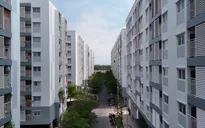 Phát triển nhà ở cho thuê: “Van xả áp” cho thị trường bất động sản
