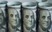 Đồng USD leo lên mức cao nhất trong 13 tháng