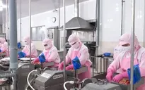 Xuất khẩu thủy sản Việt Nam tăng tốc, hướng tới mốc 12 tỷ USD