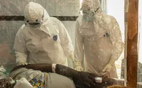 Pháp xác nhận ca nhiễm Ebola đầu tiên 