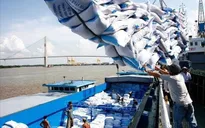 Xuất khẩu gạo thu về 2,36 tỷ USD sau 6 tháng