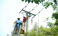 Nắng nóng kỷ lục, điện miền Trung - Tây Nguyên lập đỉnh mới