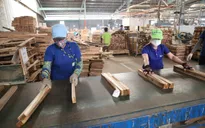 TP Hồ Chí Minh: Tín dụng hỗ trợ doanh nghiệp tăng hơn 14%, gỡ nút thắt tiếp cận vốn