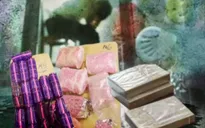 Chung quyết tâm xây dựng xã, phường, đặc khu không ma túy