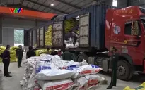 Gian nan cuộc chiến đấu tranh với tội phạm ma túy
