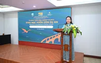 Khai mạc Vườn ươm dự án DANAFF Talents 2026: Kết nối tài năng điện ảnh Việt Nam và châu Á
