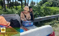 CSGT Hà Nội tăng cường xử lý xe khách dừng đỗ sai quy định