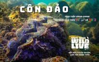 TRỰC TIẾP: Lặn biển Hòn Bông Lan cùng Vietnam Wild Live (12h30 VTVgo, VTV2)